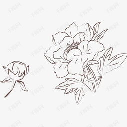 白描牡丹高清图，哪里能找到