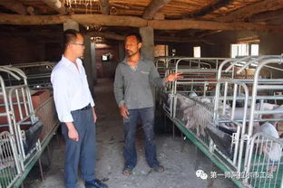 绿色养殖，打造无公害猪肉品牌