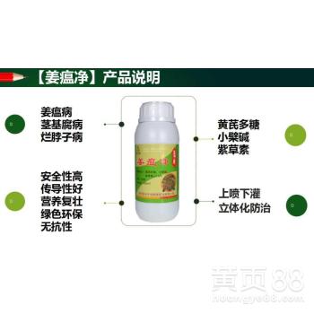 百菌清：浸种剂也Neng防治姜瘟病？