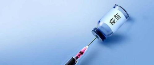 PEDV疫苗的灭活苗、活苗、返饲和后海穴注射原理是什么？
