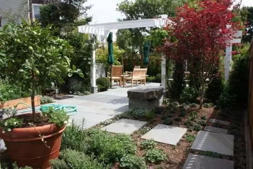 问题：节间徒长不开花？