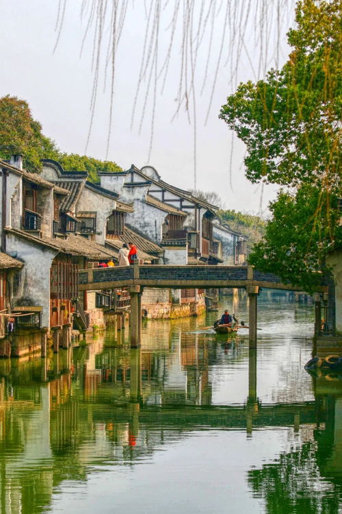 乌镇之花，江南之韵