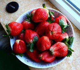 樱桃种子冷冻处理，超简单！