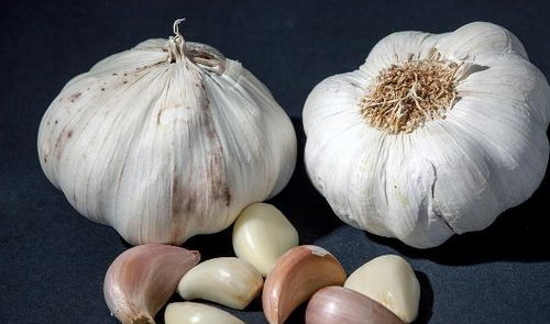 大蒜和西瓜， 这两种蔬菜水果我们都能爱