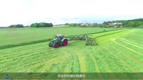 ▋五种常见草的收割信号灯