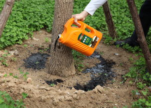 树木移栽，真的那么难搞吗？