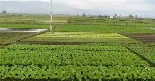 Q：浇自来水会让土壤变碱吗？