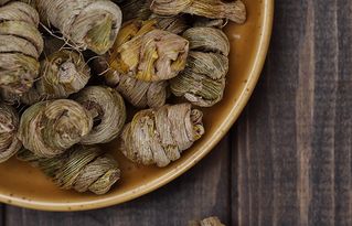 鲜石斛种植攻略，石斛食用秘籍，养花达人必备！