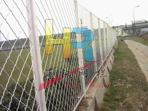 土方开挖与基础处理