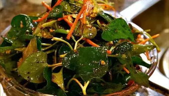 藤藤菜种植季节