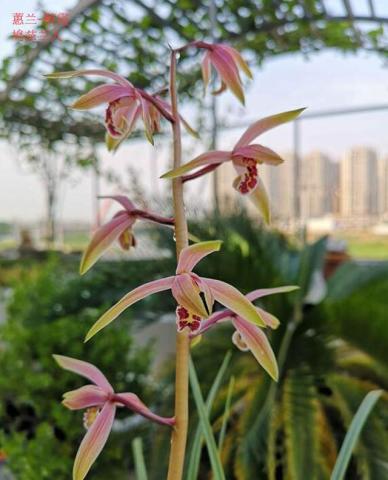 防范为主， 远离腐苗