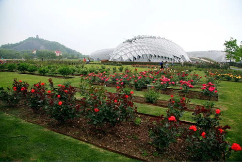 生态之旅：尊重自然 享受宁静