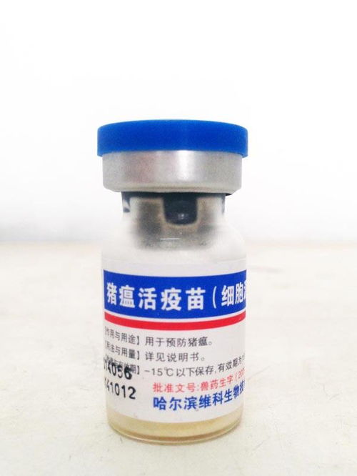 猪的疫苗分类有哪些？常见的疫苗种类你都知道吗