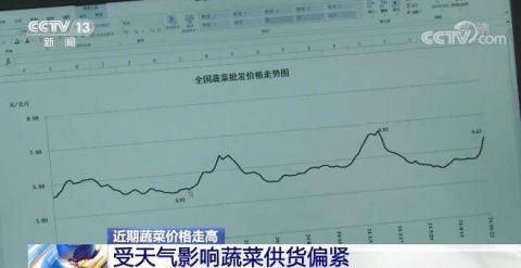 骆驼饲料价格受哪些因素影响？近期行情如何？