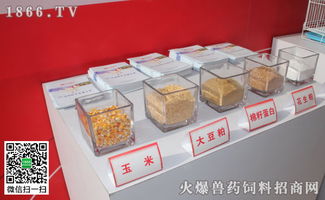 鸡饲料价格多少钱一斤，不同品牌和类型的价格差异大吗？