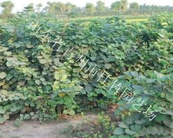 第二步：比价格