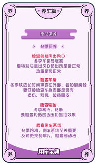 “四季养护中，如何根据不同季节合理调整浇水频率和量