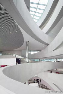 日本东京的“蓼科山住宅”：绿植的魔法之旅