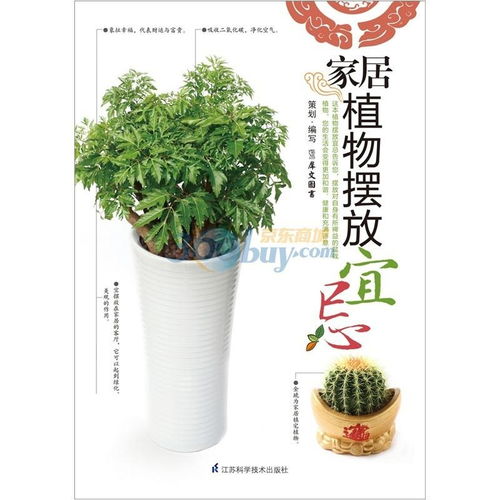 别再乱摆了！家居植物摆放宜忌你一定要懂