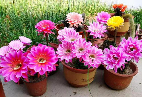 冷知识：五月光照强度猛涨40%！