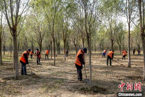 百万亩造林， 绿色覆盖率大提升
