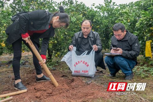 “绿色养殖，安全护航农业发展”