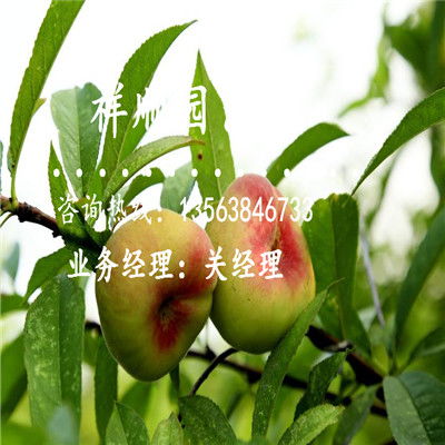 性价比高的推荐