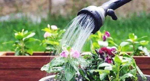 快快浇水，解救干旱的痛苦