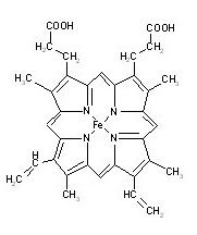 百菌清：那神秘的分解产物