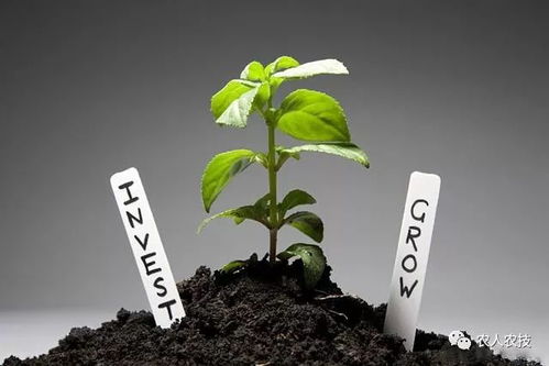 氮磷钾，哪个好？