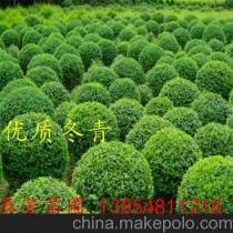 价格实惠，质量如何？