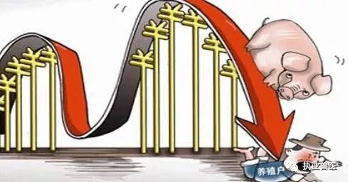 2024年9月云南猪价盘点，你认识2024年养猪业最受关注的十大人物中的哪些？