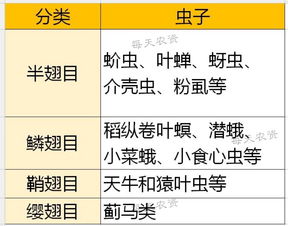 高温下的甲维杀虫单，问题多多