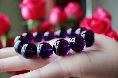 紫藤：华丽的花串， 让人心醉神迷