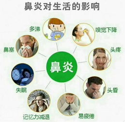 患有花粉过敏、哮喘等呼吸系统疾病的人不适合养蜂