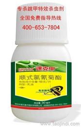 卫生杀虫剂剂型大盘点：喷雾、颗粒、胶饵，哪个家用geng佳？