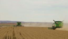 3月收割，这可是有秘诀的