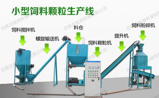 如何通过科学配比和加工技巧减少饲料浪费，降低养殖成本30%？