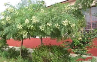 规格与价格的微妙关系