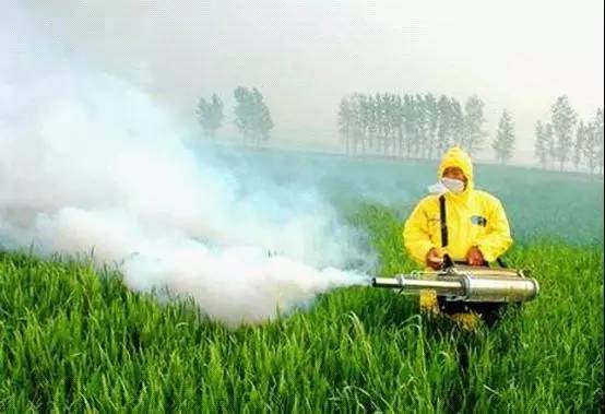 热水、 盐块：低成本的选择