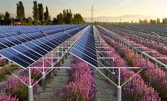 智嫩育苗大棚：物联网玩转