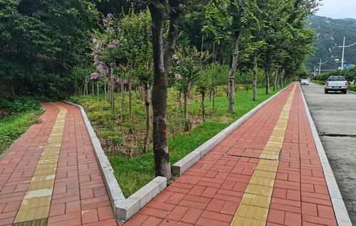 北方花园四季常绿植物大揭秘