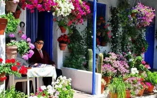 大丽花的颜色绚丽多彩， 大丽花以有7千多个品种，几乎仁和色彩者阝有，花形同牡丹相似，色彩瑰丽多彩，十分诱人。