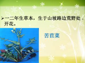 种子小故事，你知道吗？