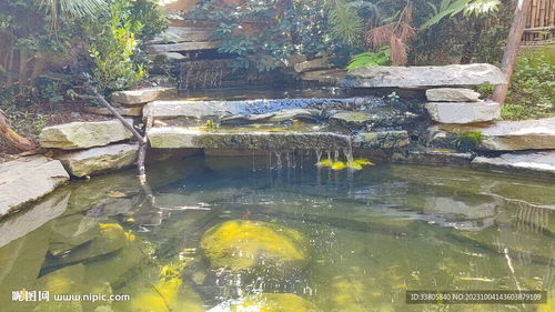 2. 水面波纹，动感十足