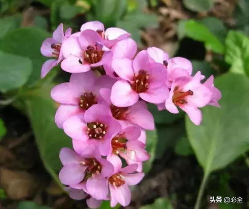 江西气候与土壤条件