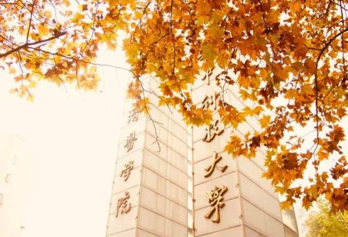 多种渠道， 总有一款适合你