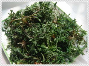 茵陈艾草如何辨？图解新手必看