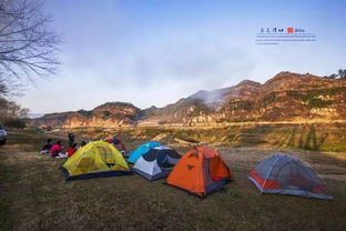 张家界露营区的刺伤事件