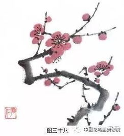 梅花的种植：一点小技巧